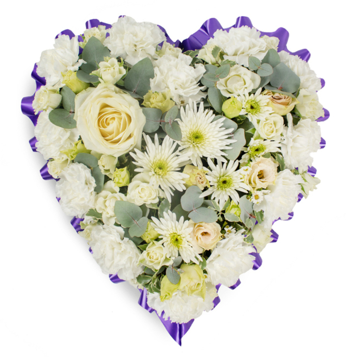 A generously proportioned heart-shaped funeral tribute in white, cream, and subtle hints of pale yellow is shown against a seamless white background, giving the impression it is gently floating. The heart is tightly packed with fresh flowers, with no gaps in the coverage, demonstrating careful craftsmanship and an experienced florist's hand. At its centre, a large creamy white rose stands as the main focal point, its petals elegantly layered and slightly cupped, suggesting both fragility and strength. Radiating out from this central rose, a mass of white carnations provides most of the structure, their distinctive ruffled edges creating a velvety surface that looks soft enough to rest upon. Threaded between the carnations are white spider chrysanthemums, their long, narrow petals creating feathery bursts that catch the light and bring energy to the tribute. Smaller rosebuds in tones of ivory, pale cream, and the softest blush are scattered thoughtfully, adding intimacy and suggesting personal messages tucked within the flowers. Here and there, tiny lime-tinted buds or miniature blooms lend a fresh, springlike note that contrasts gently with the more formal roses and carnations. Sprays of silvery-green eucalyptus leaves emerge between the blossoms, adding depth, natural form, and a cool, calming tone that many Charlton residents might associate with walks near the Thames or the leafy borders of Charlton House gardens. The heart is outlined with a rich purple ruffled ribbon, carefully pleated and slightly raised, providing a defined edge that holds the composition together and introduces a note of reverence. Created in the quiet, reflective style often chosen by families in Charlton, this floral heart is a graceful way to express sympathy and remembrance at a funeral service or graveside tribute.