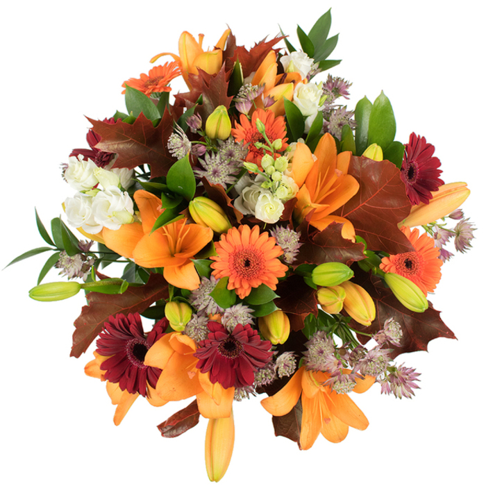 A lush, elevated view of a richly hued autumn bouquet, photographed on a pure white background so each botanical element reads with clarity and warmth. Central to the design are several fully opened orange Asiatic lilies, their broad, elegant petals curving back to reveal smooth throats and stamens; nearby, tightly furled green and pale orange lily buds promise more blooms, lending the composition a sense of movement and future delight. Scattered among the lilies are Gerbera daisies in vivid pumpkin orange and a deep burgundy-red, their concentric petals forming bright, cheerful focal points that contrast with the softer, creamy lisianthus blooms. Those ivory Eustoma flowers introduce tenderness with ruffled layers that catch light differently from the lilies' satiny sheen. Intricate purple-grey Astrantia filler adds a lacy, almost celestial texture, dotted like miniature fireworks across the bouquet. Richly lobed leaves in reddish-brown-reminiscent of fallen oak-are woven through the arrangement to anchor the palette firmly in autumn, balanced by fresh green foliage that supplies lift and structure. The bouquet is densely composed and appears very fresh, as you would expect from a Charlton florist preparing seasonal pieces for delivery; Flower Delivery Charlton might describe this design as a harvest-inspired hand-tied, perfect for centrepieces at a cosy meal near Charlton House or for brightening a local riverside flat close to the Thames. The overall impression is of warmth, abundance, and artisanal care: a tactile, fragrant composition that evokes late-afternoon sunlight, crisp air, and the gentle hush of turning leaves.